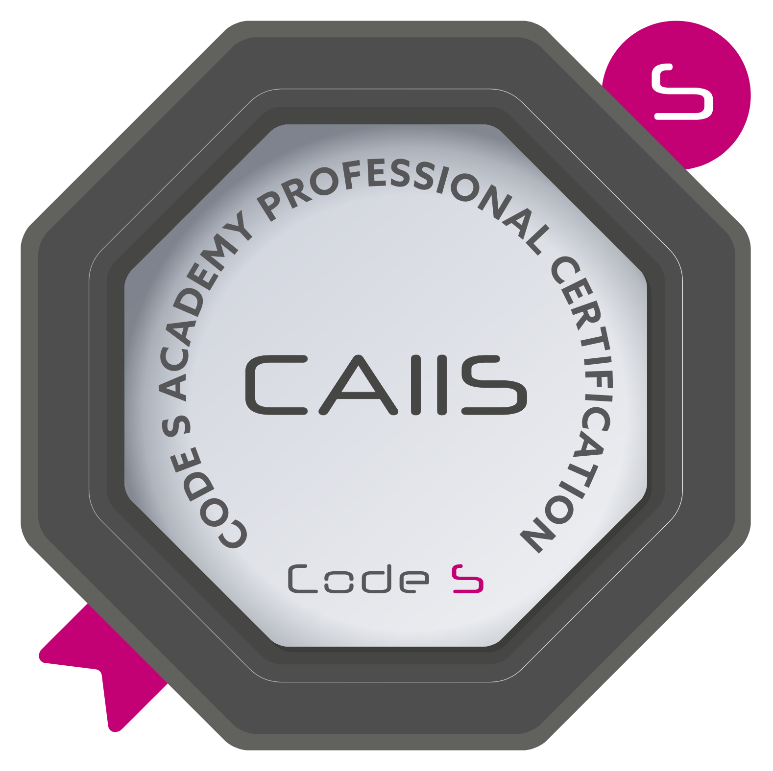 Certified AI Investment Strategist (CAIIS)