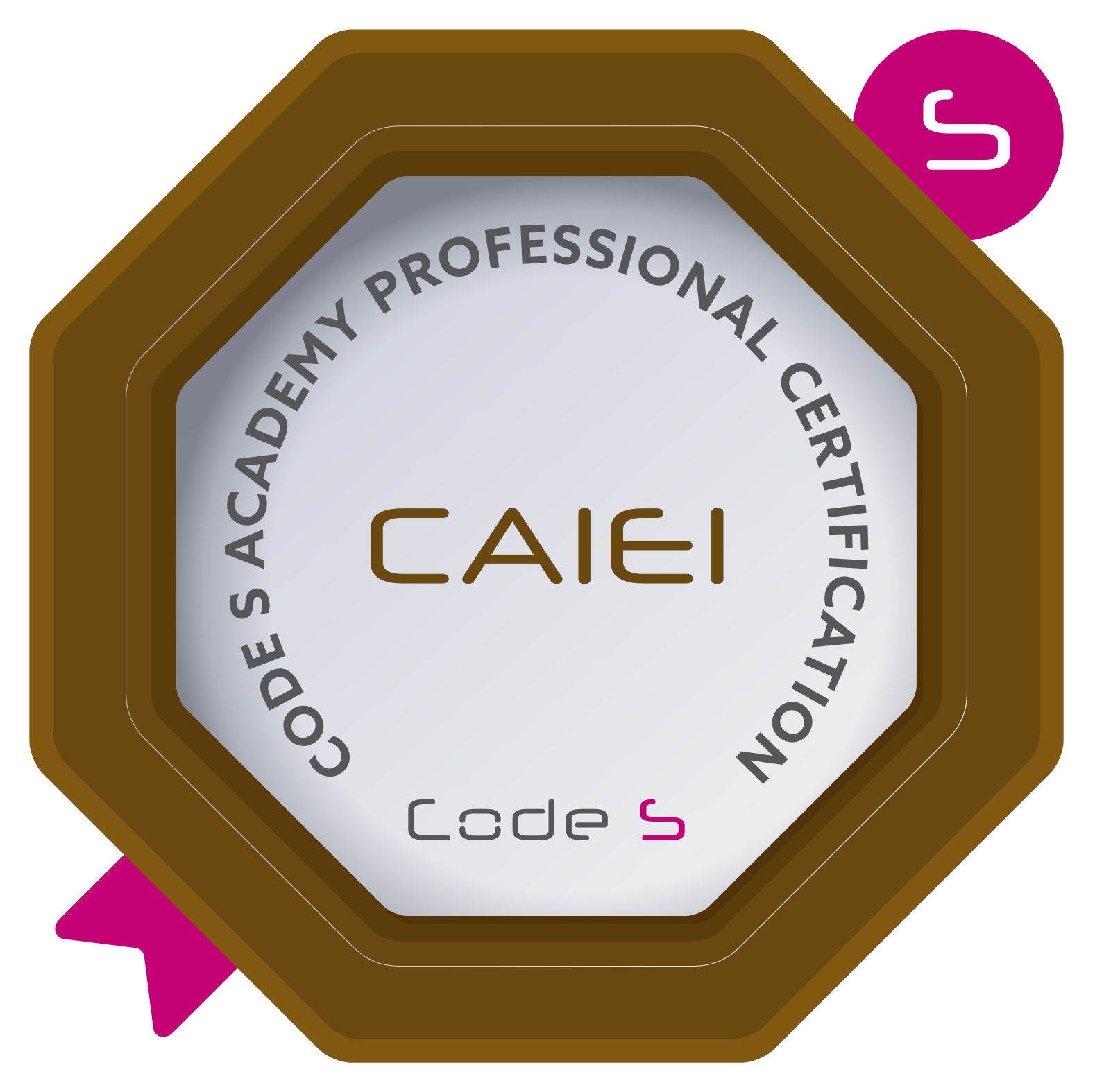 Certified AI Education Innovator CAIEI